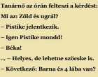 Tanárnő az órán felteszi a kérdést: Mi az: Zöld és ugrál?