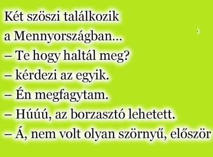 Két szöszi találkozik a Mennyországban…