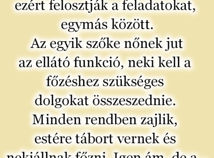 Baráti társaság táborozni indul, ezért felosztják a feladatokat