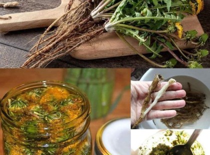 Sokan nem tudják,hogy az egész pitypang ehető és a gyökere az igazi kincs!