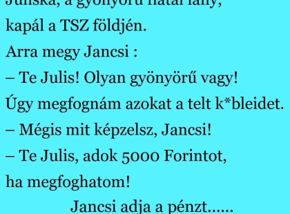 Juliska, a gyönyörű fiatal lány, kapál a TSZ földjén. Arra megy Jancsi és megszólítja
