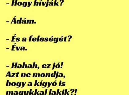 A népszámláló becsönget Ádámékhoz