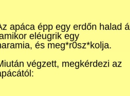 Az apáca egy erdőn halad át, amikor elépattan egy haramia