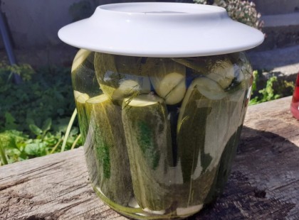 Forrázott uborka, már másnap fogyasztható, nekünk jobban ízlik mint a kovászos változata, recept