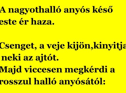A nagyothalló anyós késő este ér haza....