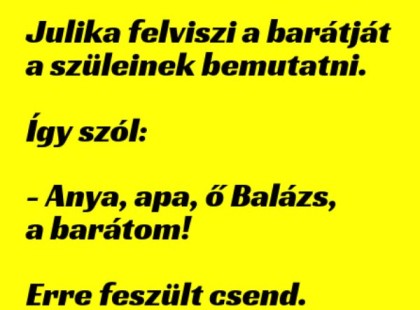 Julika felviszi a barátját a szüleinek bemutatni.....