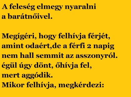 A feleség elmegy nyaralni a barátnőivel.