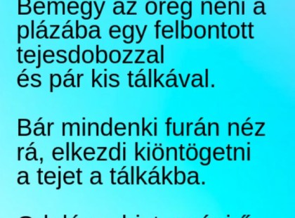 Az öreg néni bemegy a plázába, és elkezd kis tálkákba tejet öntögetni. Odalép a biztonsági őr