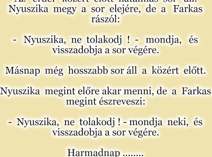 Az erdei közért előtt hatalmas sor áll. Nyuszika megy a sor elejére, de a Farkas rászól