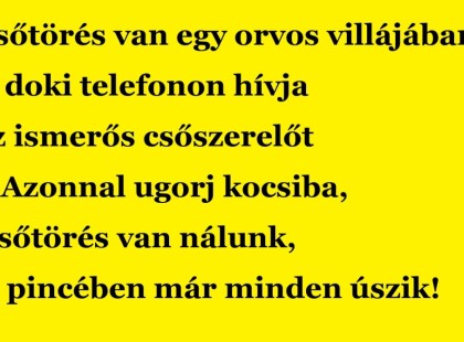 Csőtörés van egy orvos villájában. A doki telefonon hívja az ismerős csőszerelőt