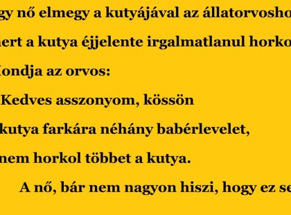 Egy nő elmegy a kutyájával az állatorvoshoz
