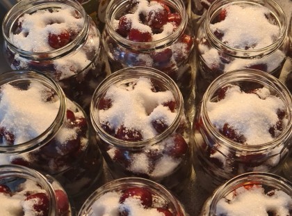 Elfáradtam, de megérte! Magozott cseresznye télire eltéve -lépésről-lépésre mutatom