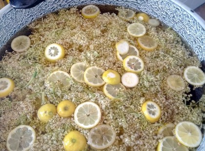 A legfinomabb házi bodzaszörp receptje - Bodzaszörp télire – Bombabiztos recept!