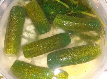 Hamis kovászos uborka, 30 perc és kész, a család nagy kedvence