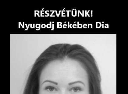 1 perce érkezett! Megtalálták a verőcei hajóbaleset újabb áldozatát - Nyugodj Békében Dia!