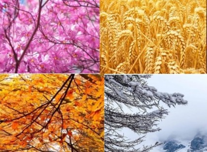 Te melyik évszakban születtél? Megmutatjuk, hogy mit árul el rólad