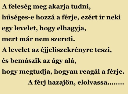 A feleség meg akarja tudni, hűséges-e hozzá a férje, ezért ír neki egy levelet, hogy elhagyja,