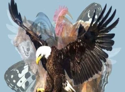 Amit először látsz meg a képen, elárulja, mi vár rád 2024-ben