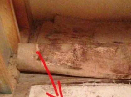 Megörökölte nagyszülei házát: mikor felszedte a padlószőnyeget, mozdulni sem tudott a látványtól