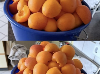 Ezt jobb ha tudod a sárgabarackról! Ilyen hatása van igazából emberi szervezetre!