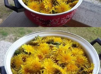 A pitypang tea tisztítja a bőrt, eltünteti a foltokat, szeplőket, pattanásokat, de más bőrbetegséget is gyógyít