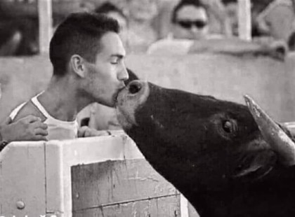 A kétségbeesett bika meglátta a gazdáját a viadal közben, odaszaladt reményekkel tele..ami ezután történt, az megcsavarja a szíved.