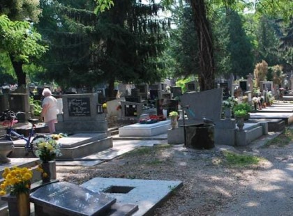 Ma kimentem a temetőbe a férjem sírjához, amikor hirtelen Erre a feliratra lettem figyelmes: