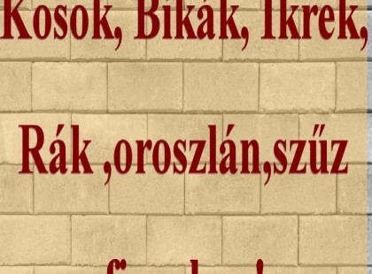 Kosok, Bikák, Ikrek,Rák ,oroszlán,szűz figyelem!Mai horoszkóp