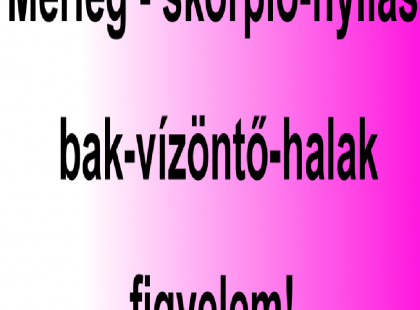 Mérleg - skorpió-nyilas -bak-vízöntő-halak figyelem