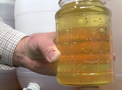 Méhész vagyok, 1800 Ft-ért veszi meg a multi a termelői mézemet... Ma ENNYIÉRT láttam kirakva a polcra: