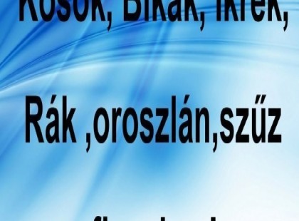 Kosok, Bikák, Ikrek,Rák ,oroszlán,szűz figyelem! Mai horoszkóp (VASÁRNAP)
