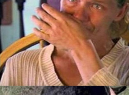 A nőt egy elhagyatott olyan súlyos baleset éri, hogy mozdulni sem képes: mikor kinyitja a szemét, egy jól megtermett kutyát lát felé rohanni…