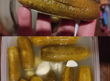 Kiderült, mi a titka: ETTŐL lesz sokáig roppanós a kovászos uborka