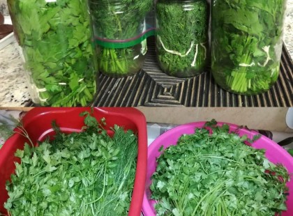 A piaci zöldségárus tanácsa: ha így tárolod a zöldségeket kétszer annyi ideig friss marad