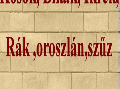 Kosok, Bikák, Ikrek,Rák ,oroszlán,szűz figyelem!Mai horoszkóp