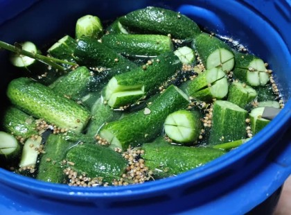 Hordós dobáls uborka, hidegen eltéve! Más zöldséget is el lehet tenni ezzel a recepttel