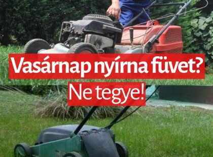 Változtak a fűnyírás szabályai, akár 100.000 forint bírságot is kaphatsz ? ????? ? ?????́???́??́?????́?!
