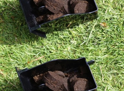 Ne dobd ki a kávézaccot, szórd a gyepre, és máris megoldott egy bosszantó problémát