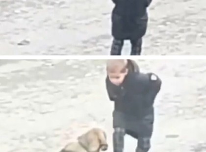 Kisfiú megáll a kóbor kutyáknál, nézd meg, mit tesz, amikor azt hiszi, hogy senki sem figyeli!?