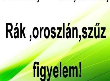 Kosok, Bikák, Ikrek,Rák ,oroszlán,szűz figyelem! Mai horoszkóp (SZERDA)