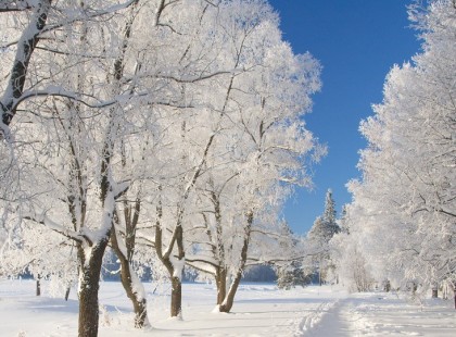 Nagyon hideg havas telünk lesz. Itt a nagy előrejelzés!