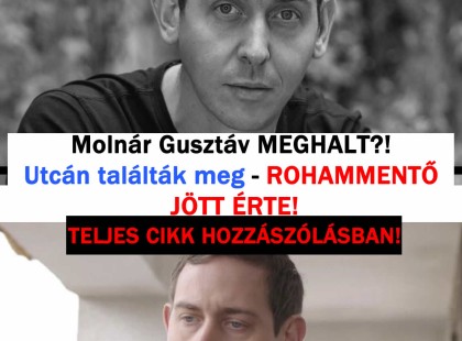Molnár Gusztáv ÉLET - ÉS HALÁL KÖZT ?! Utcán találták meg – ROHAMMENTŐ JÖTT ÉRTE! -