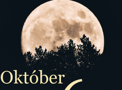 Kosok, Bikák, Ikrek,Rák ,oroszlán,szűz figyelem hatalmas változást hoz a holnap!Holnapi horoszkóp (VASÁRNAP)