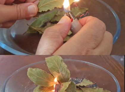 Tudod, miért égetek babérleveleket a házamban?
Az első hozzászólásban elmagyarázom