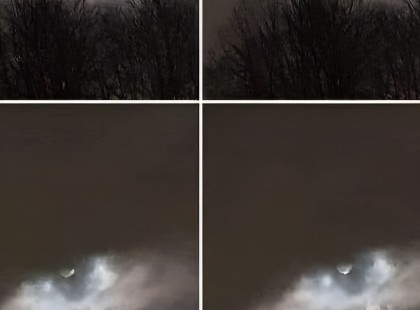 ? Lélegzetelállító! A testvérem készítette ezt a képet, és senki sem vette észre! Nézd meg, miért különleges! ?