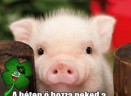 Szerencsehoroszkóp jövő hétre