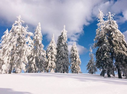 Ez gyors volt! MEGÉRKEZETT AZ ELSŐ HÓ!
