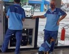 Ilyet még nem láttam!Tegnap ezzel a kutyával olyat tett EZ a két benzinkutas, amit meg kell tudjanak a felettesei! Tessék tovább adni 👇 Cikk a hozzászólásoknál >>>