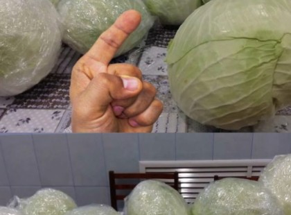 Ezzel a trükkel a káposzta tavaszig friss marad – a háziasszonyok titkos praktikája!