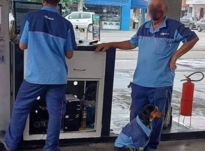 Ilyet még nem láttam!Tegnap ezzel a kutyával olyat tett EZ a két benzinkutas, amit meg kell tudjanak a felettesei! Tessék tovább adni ? Cikk a hozzászólásoknál >>>